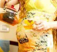 Zeleni čaj u trudnoći