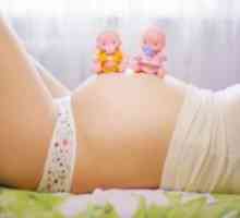 Žuto tijelo tijekom trudnoće: Dimenzije