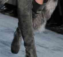 Ženske antilop zimske čizme