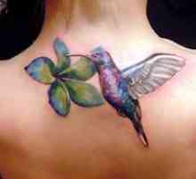 Značenje tetovaža Kolibri