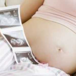 13 Tjedna trudnoće - fetalni veličina