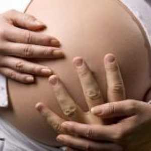 15 Tjedna trudnoće - fetalni kretanje