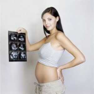17 Tjedana trudnoće - osjećaj