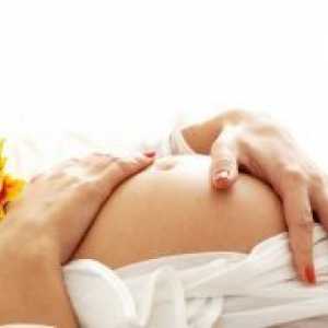 18 Tjedna trudnoće - fetalni veličina