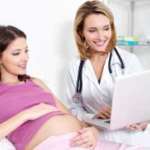 19 Tjedana trudnoće - bez perturbacija