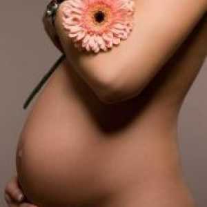 21 Tjedna trudnoće - što se događa?