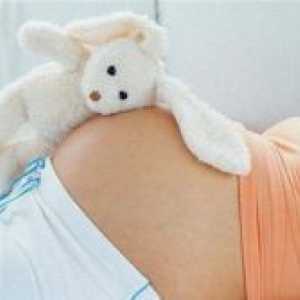 27 Tjedna trudnoće - fetalni veličina