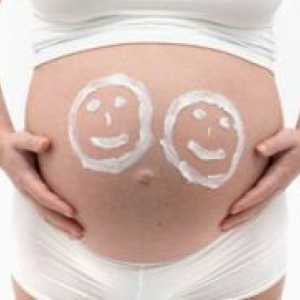 32 Tjedana trudnoće - blizanci
