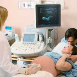 35 Tjedna trudnoće - fetalni masa