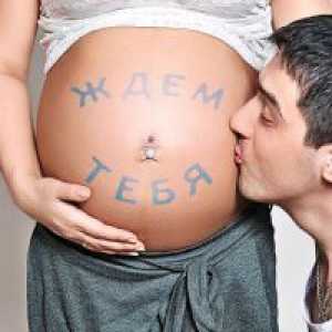37. Tjedna trudnoće - fetalni razvoj