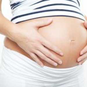 37 Tjedana trudna - navjestitelji rođenja