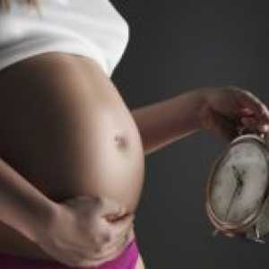 40 Tjedana trudnoće - drugi porod