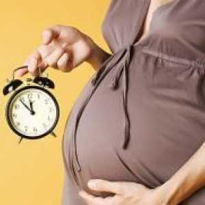 41 Tjedana trudnoće - bez prekursora