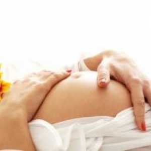 7. Mjesecu trudnoće