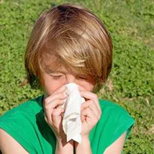 Alergijski kašalj u djeteta
