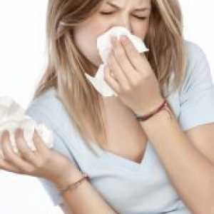 Alergije na prašinu - Simptomi
