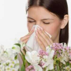 Alergije u krajem srpnja - početkom kolovoza