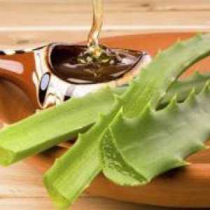 Aloe s medom - Recepti za želudac