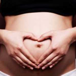 Antenatalna skrb u trudnoći