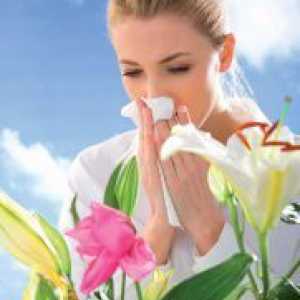 Antihistaminici za alergije