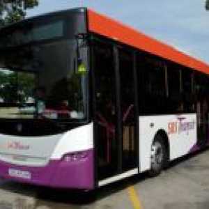 Autobusi Singapur