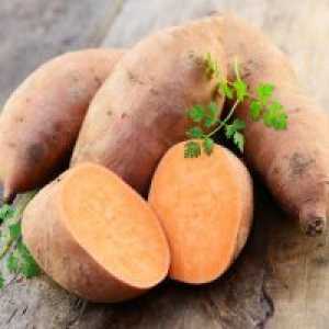 Slatki krumpir - koristi i štete