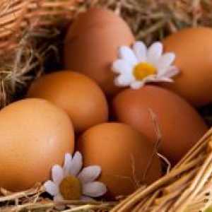 Jaje proteina - kalorijska