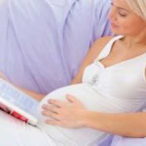 Trudnoća 27 tjedana - fetalni razvoj