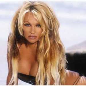 Biografija Pamela Anderson