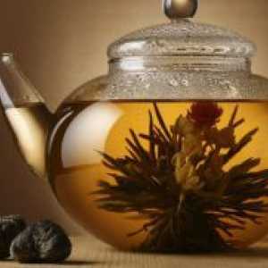 Čaj Kudin - Nekretnine kontraindikacije
