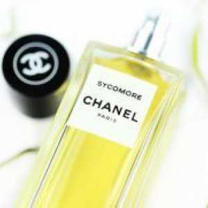Chanel sycomore