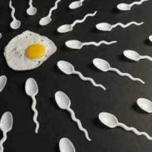 Kako korisno muški spermij?