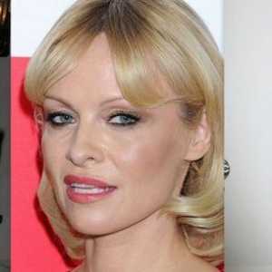 Ono što se sada bavi Pamela Anderson?