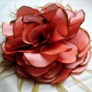 Cvijet izrađena od tkanine s rukama