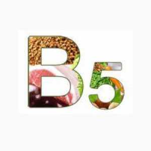 Što tijelo treba vitamin B5?