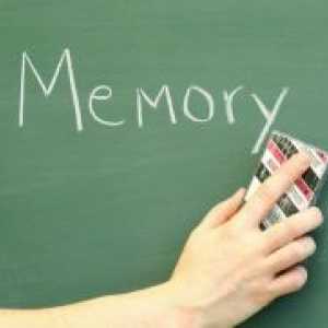 Dugoročno pamćenje