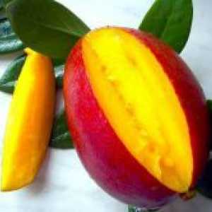 Gdje raste mango?