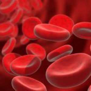 Hemoglobin - norma kod žena u dobi od