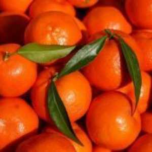Hibrid naranče i mandarine