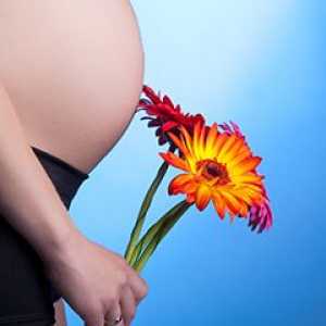 Njega trudnica: važne nijanse