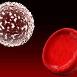 Glikolizirani hemoglobin - norma