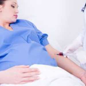 Test tolerancije na glukozu tijekom trudnoće