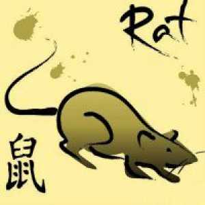 Godina Rat - karakteristike