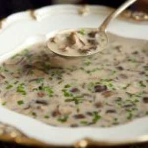 Gljiva juha s bukovača - recept