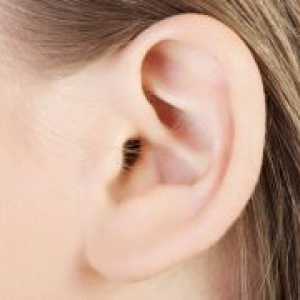 Gljiva u ušima - liječenje