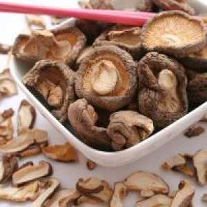 Shiitake gljive - koristi i štete