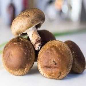 Shiitake gljive - recepti