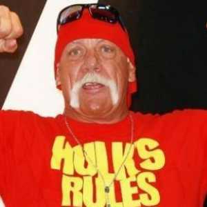 Zbog skandaloznog videa Hulk Hogan je postao bogatiji za 140 milijuna