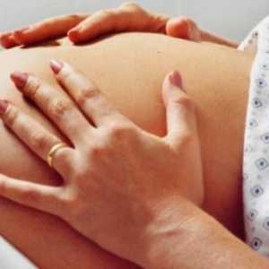 Promjene u tijelu žene za vrijeme trudnoće