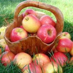 Jabuke - koristi i štete